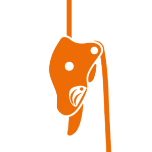 branże_dostęp_linowy